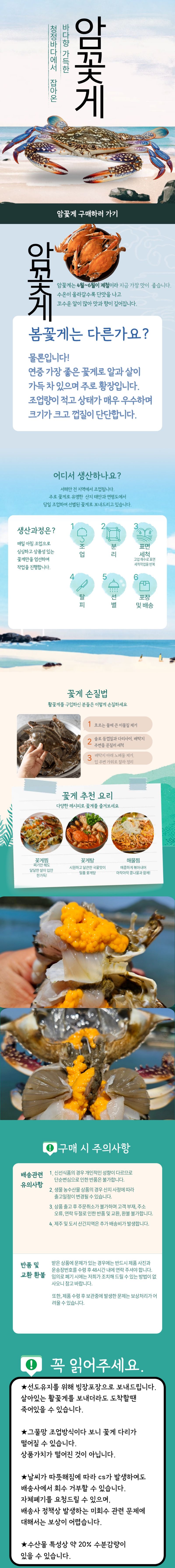 글로우베이스님의 장터 판매 상품 [알이 꽉 찬 서해안 암꽃게 신선한 봄 제철 알배기 꽃게] 첨부 사진