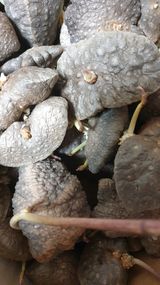 김지영님의 자유주제·자유게시판 작성글 사진