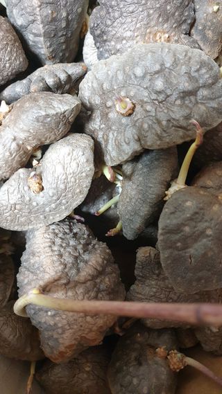 김지영님의 자유주제 · 자유게시판 작성글 사진