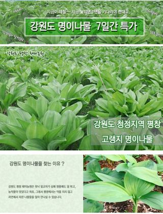 전봉우(채미농원)님의 자유주제 · 자유게시판 작성글 사진