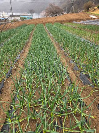 정태권님의 자유주제 · 자유게시판 작성글 사진