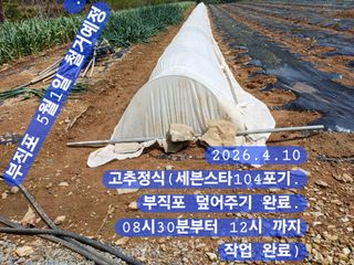 박성민님의 자유주제 · 자유게시판 작성글 사진