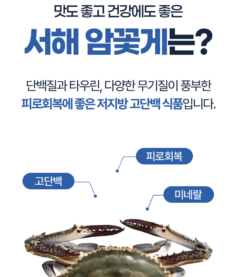 스피드번님의 장터 판매 상품 [국내산 활 암꽃게] 첨부 사진