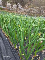 박기식 님의 자유주제·자유게시판 작성글 사진