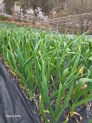 박기식 님의 자유주제 · 자유게시판 작성글 사진