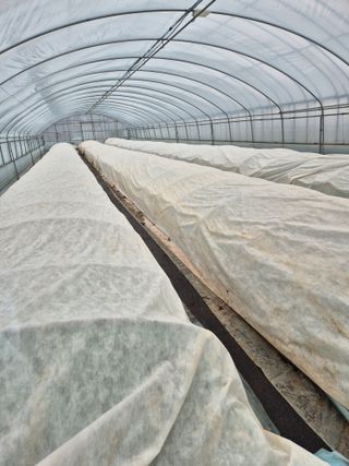 김영진(전남영광)님의 자유주제 · 자유게시판 작성글 사진