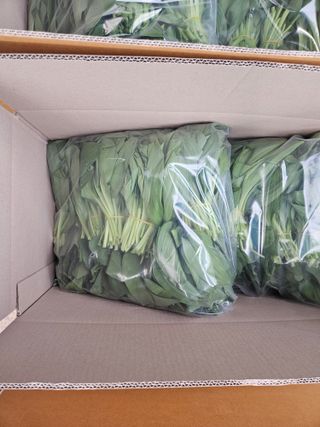 전봉우(채미농원)님의 자유주제 · 자유게시판 작성글 사진