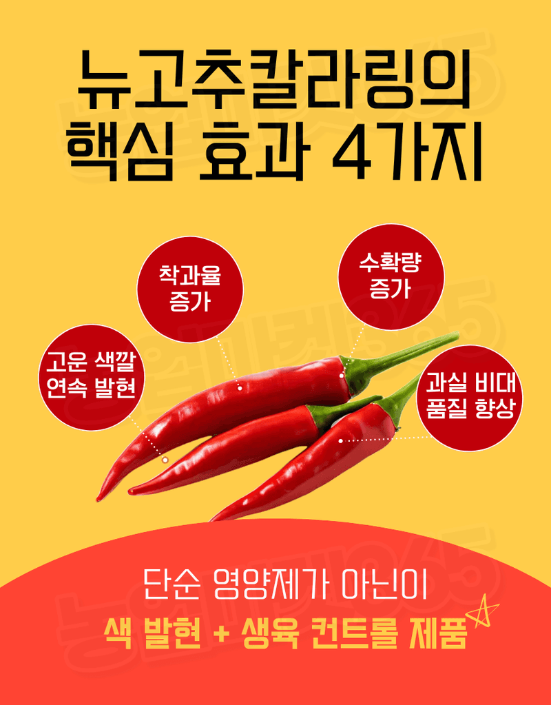농업마켓365님의 장터 판매 상품 [융전 뉴고추칼라링 액제 250ml 고추 착색증진 착과증가 비대촉진 수확증대제] 첨부 사진