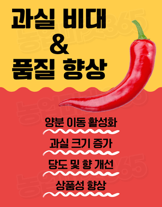 농업마켓365님의 작성글 사진