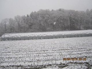 농민님의 자유주제 · 자유게시판 작성글 사진