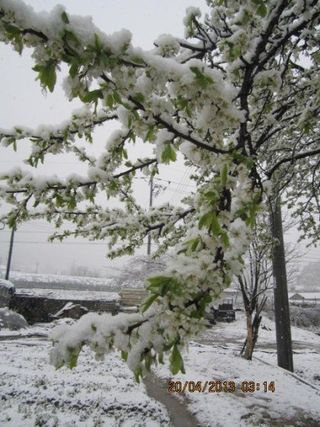 농민님의 자유주제 · 자유게시판 작성글 사진