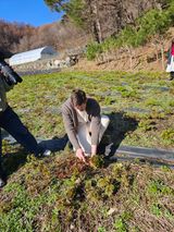 홍천산채농원님의 자유주제·자유게시판 작성글 사진