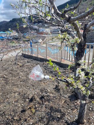 김용대님의 자유주제 · 자유게시판 작성글 사진