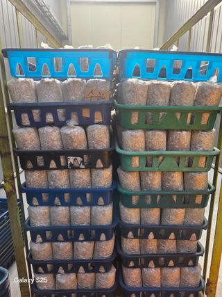 벼13991님의 자유주제 · 자유게시판 작성글 사진