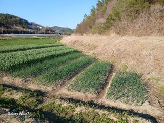 강재화님의 자유주제 · 자유게시판 작성글 사진