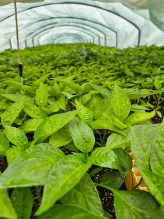 김영진(전남영광)님의 자유주제 · 자유게시판 작성글 사진