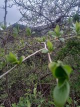 팜모닝 자유주제·자유게시판 게시글 이미지