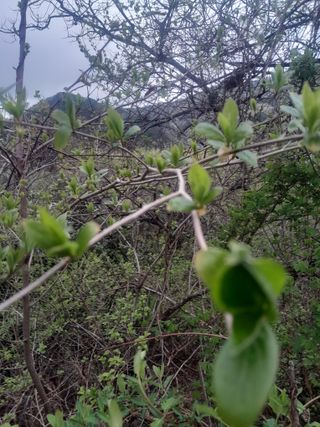 김민수산에서농사중님의 자유주제 · 자유게시판 작성글 사진