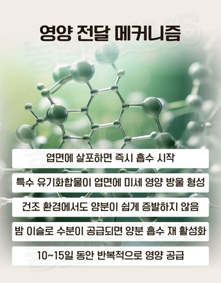 농업마켓365님의 작성글 사진