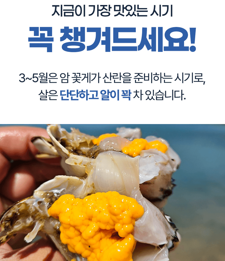 스피드번님의 장터 판매 상품 [국내산 활 암꽃게] 첨부 사진