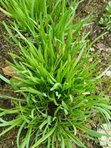 팜모닝 자유주제·자유게시판 게시글 이미지