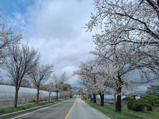 MSG0074님의 자유주제 · 자유게시판 작성글 사진