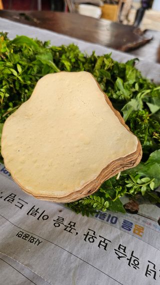 배성은365님의 자유주제 · 자유게시판 작성글 사진