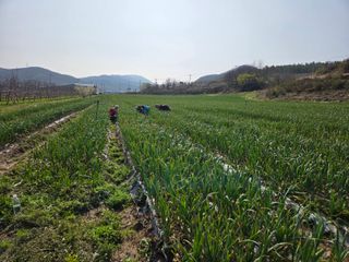 김태혁님의 자유주제 · 자유게시판 작성글 사진