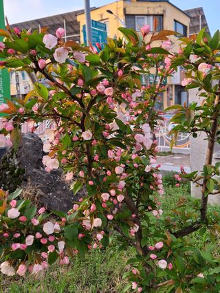 MSG0074님의 자유주제 · 자유게시판 작성글 사진