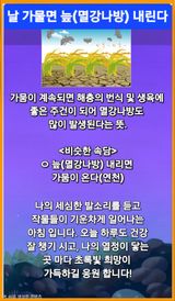 팜모닝 자유주제·자유게시판 게시글 이미지