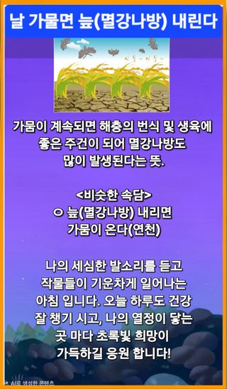 Kns4324님의 자유주제·자유게시판 작성글 사진