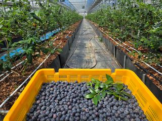 김상근님의 자유주제 · 사진전 작성글 사진