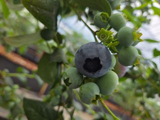 김상근님의 자유주제 · 사진전 작성글 사진