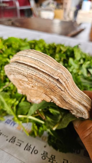 배성은365님의 자유주제 · 자유게시판 작성글 사진