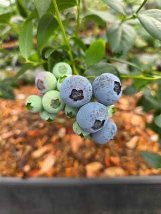 김상근님의 자유주제 · 사진전 작성글 사진