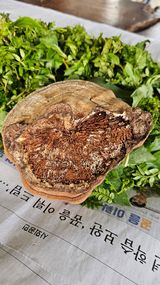 배성은365님의 자유주제·자유게시판 작성글 사진