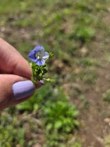팜모닝 자유주제·자유게시판 게시글 이미지
