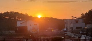 정진해님의 자유주제 · 자유게시판 작성글 사진