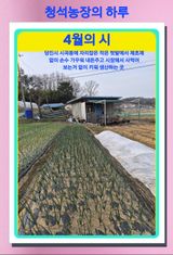 Kns4324님의 자유주제·자유게시판 작성글 사진