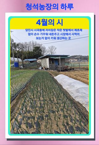 Kns4324님의 자유주제 · 자유게시판 작성글 사진