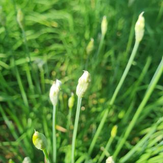 인생은 소풍처럼~님의 자유주제 · 자유게시판 작성글 사진