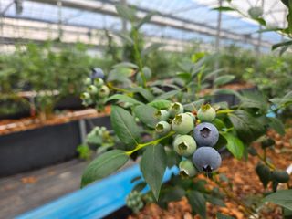 김상근님의 자유주제 · 사진전 작성글 사진