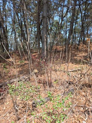 실버농부님의 자유주제 · 자유게시판 작성글 사진