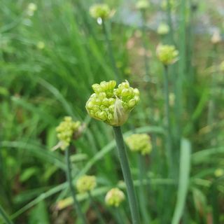 인생은 소풍처럼~님의 자유주제 · 자유게시판 작성글 사진