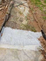 황강순님의 자유주제·자유게시판 작성글 사진