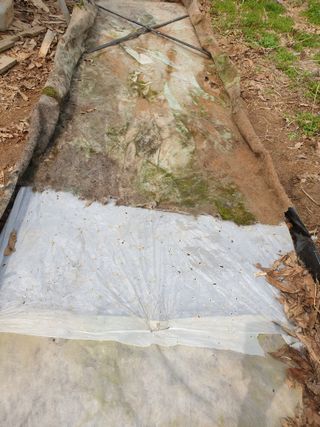 황강순님의 자유주제 · 자유게시판 작성글 사진