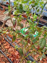 팜모닝 자유주제·자유게시판 게시글 이미지