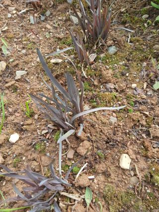 인생은 소풍처럼~님의 자유주제 · 자유게시판 작성글 사진