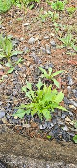 팜모닝 자유주제·자유게시판 게시글 이미지