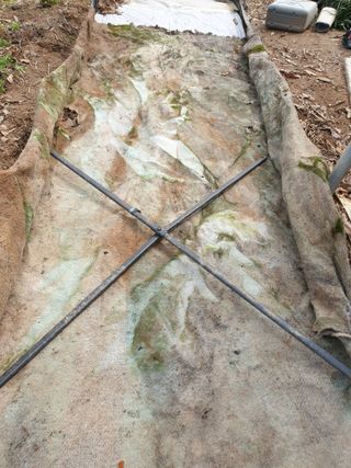 황강순님의 자유주제 · 자유게시판 작성글 사진